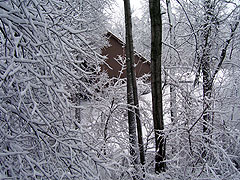 Storm damage from February 2007