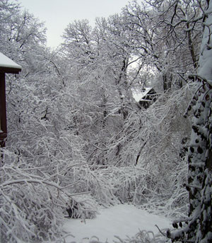 2007 Ice Storm