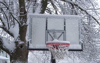 snow on basket and trees 