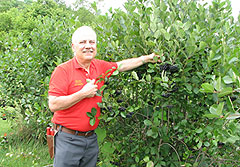 Eldon Everhart with aronia berries