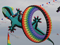 Kites like this one will be flying over Grinnell.