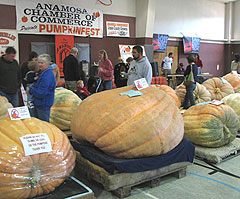 Anamosa Pumpkinfest