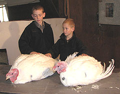 Colin and Conner Hill with turkeys that'll go to the White House.