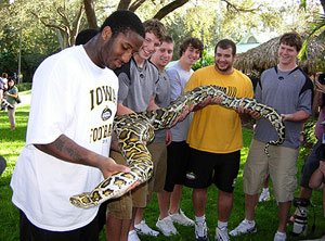 Iowa players enjoy activities in Tampa.