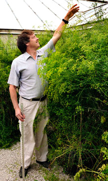 David Brenner and parsley plant.