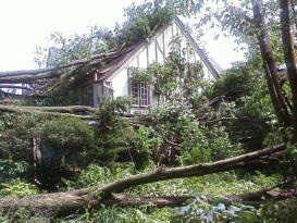 Fallen trees surround a Cedar Falls house.