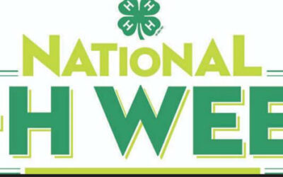 Celebrating Iowa 4H from calves and canning to astronomy and robots