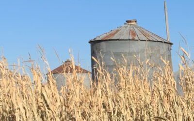 After Iowa Senators’ objections, Ag Committee advances 2026 Farm Bill