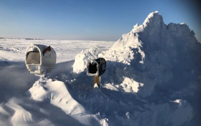 UI expert says holiday cards can have an impact in 25 words or less