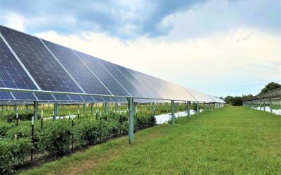 Free webinar offers ways to weave solar panels into Iowa cropland