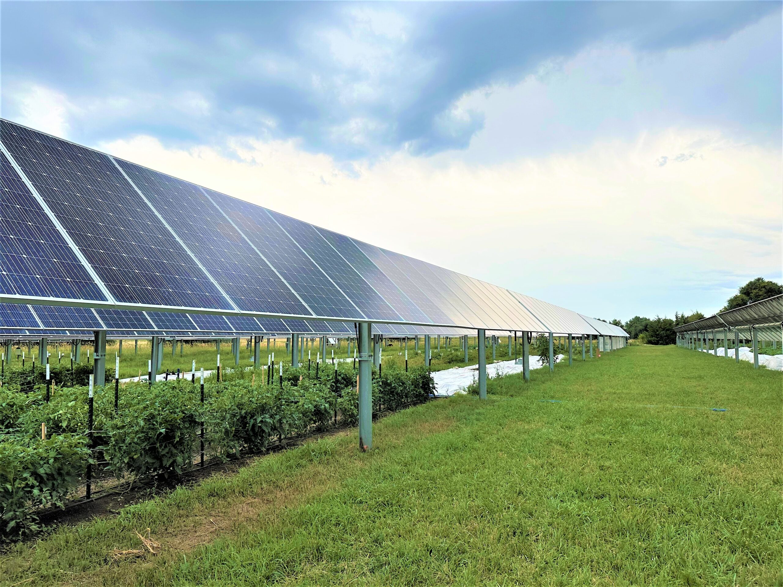 Free webinar offers ways to weave solar panels into Iowa cropland