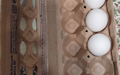 Iowa companies part of proposed egg fixing settlement