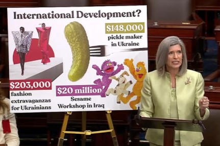 Senator Ernst touts cuts to USAID in $9 billion recissions package