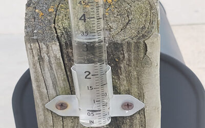 Storms drop rain and tree limbs through central Iowa