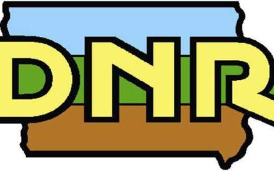 DNR getting more information on gray fox decline