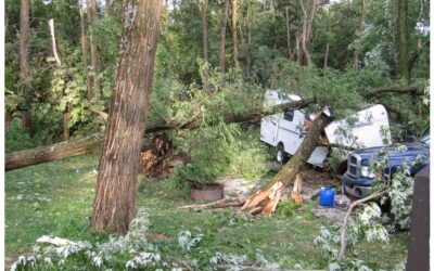 Iowa DNR releases online map detailing recovery from 2020 derecho