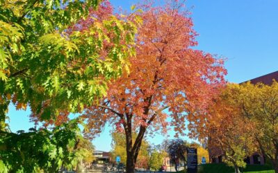 Iowa’s fall color show could end with the snowy weekend ahead