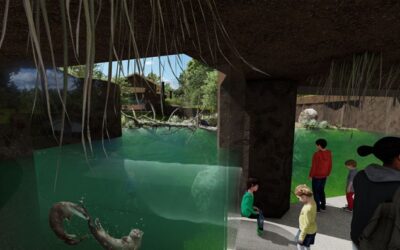 Habitat planned for Iowa otters, eagles, bobcats, turtles and more