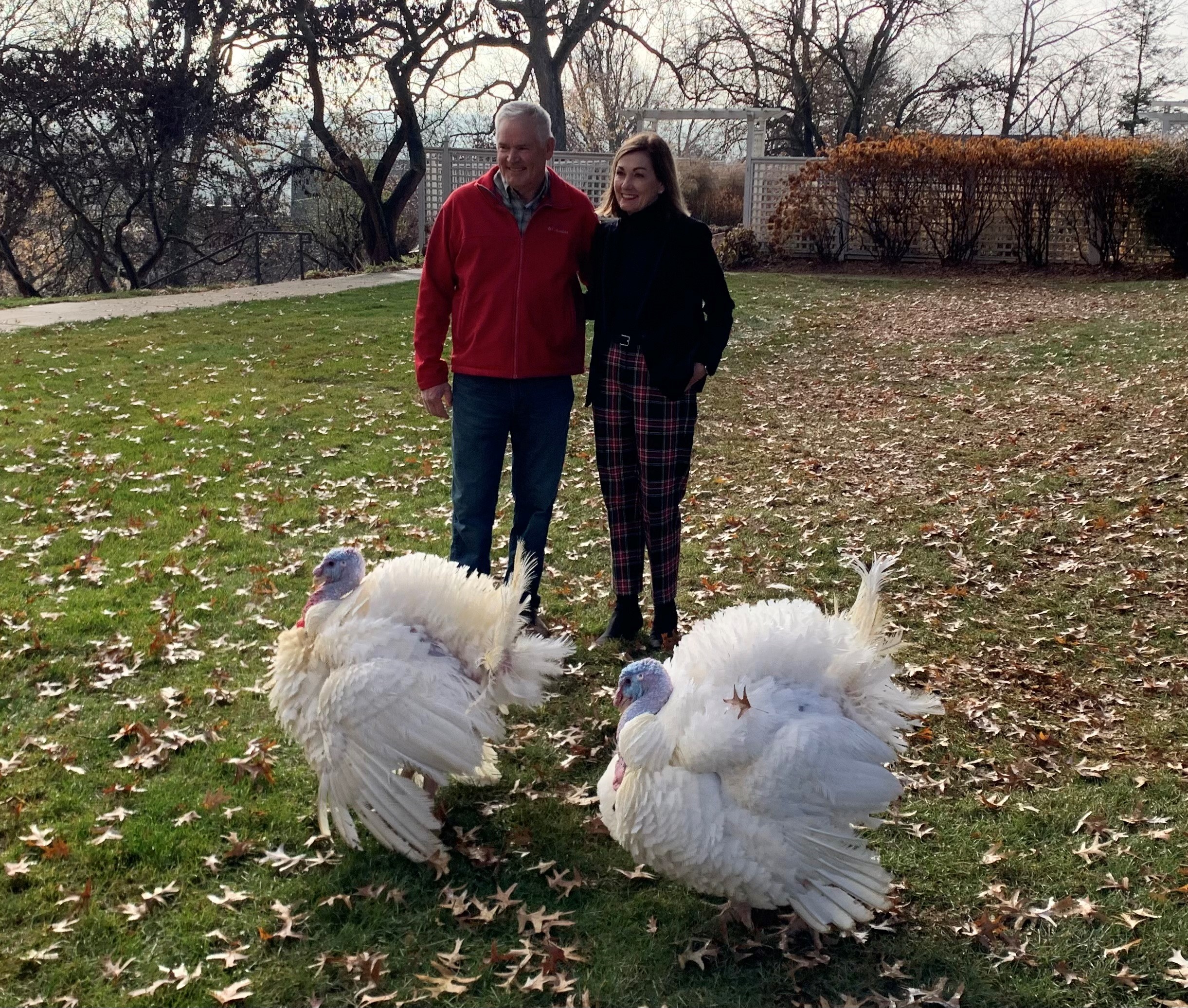 Iowa governor pardons turkeys, touts industry’s impact