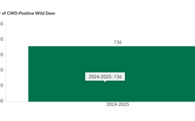Iowa DNR releases information on CWD in deer