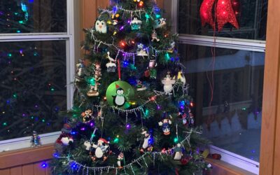 Instead of trashing the Christmas tree, Iowans should ‘tree-cycle’