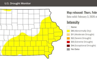 Only three Iowa counties are in drought, but almost half are very dry