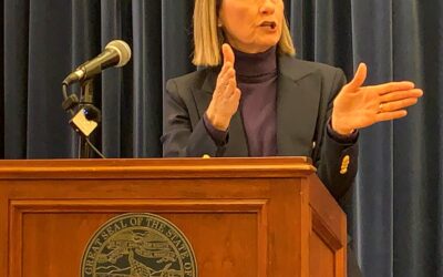 Governor hires private companies to manage executive branch IT services, computer networks
