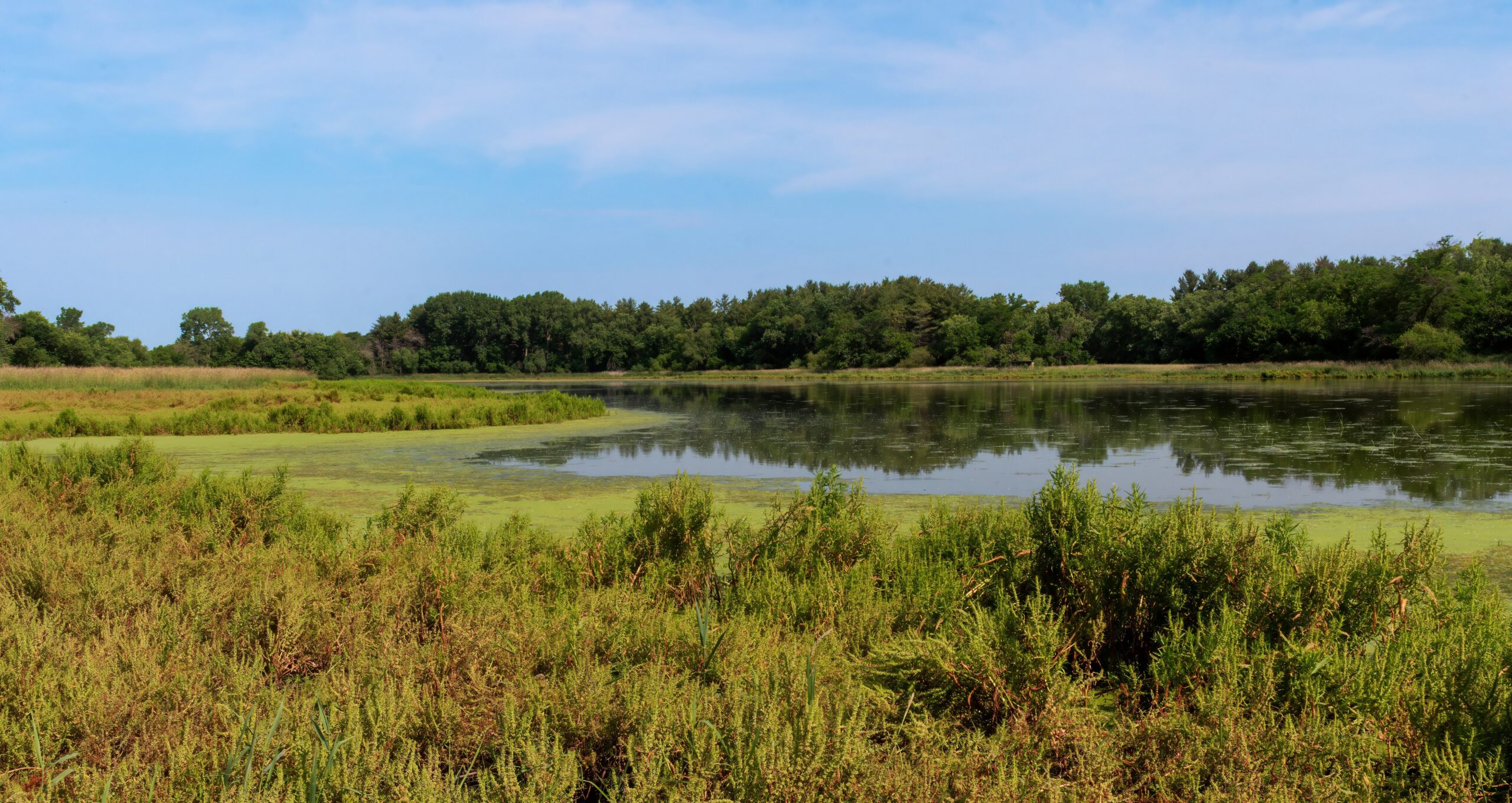 Rustic wildlife area, home to rare turtles & salamanders, is Iowa’s newest park